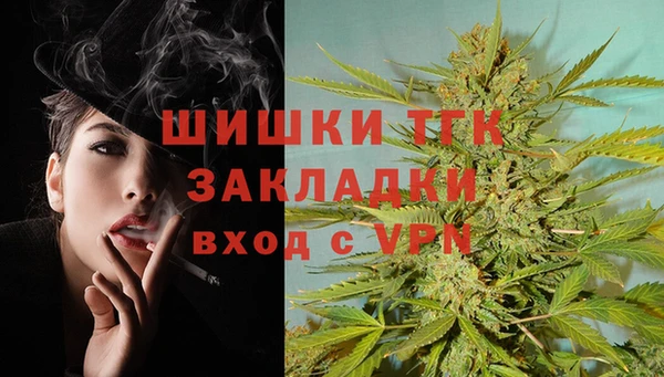 шишки Вязьма