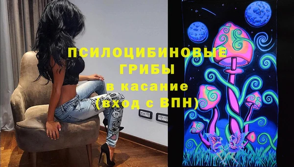 шишки Вязьма